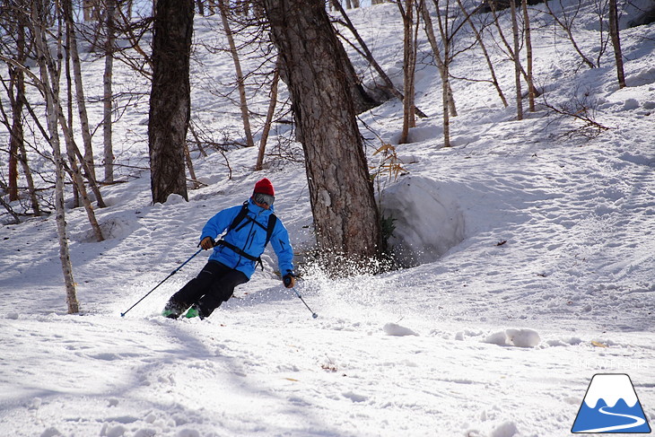 DYNASTAR SKI series Test Ride Days 2017 in ニセコユナイテッド【Day.2】～ニセコグラン・ヒラフ～